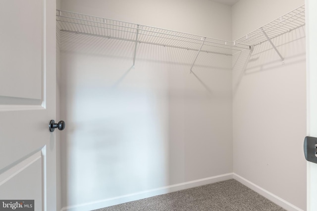 walk in closet with carpet