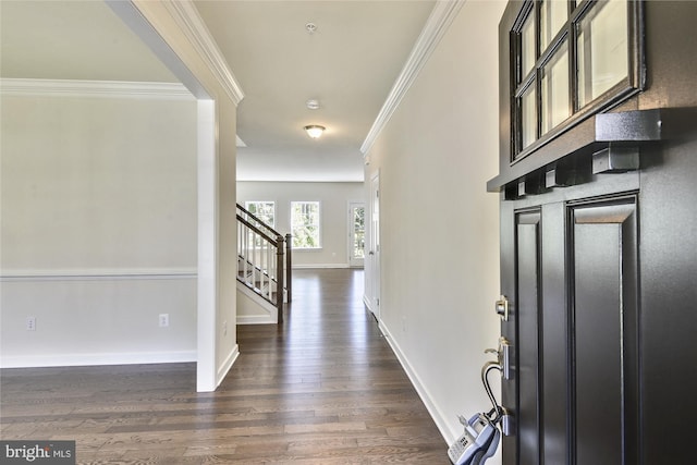 foyer featuring dark wood-type flooring and ornamental molding