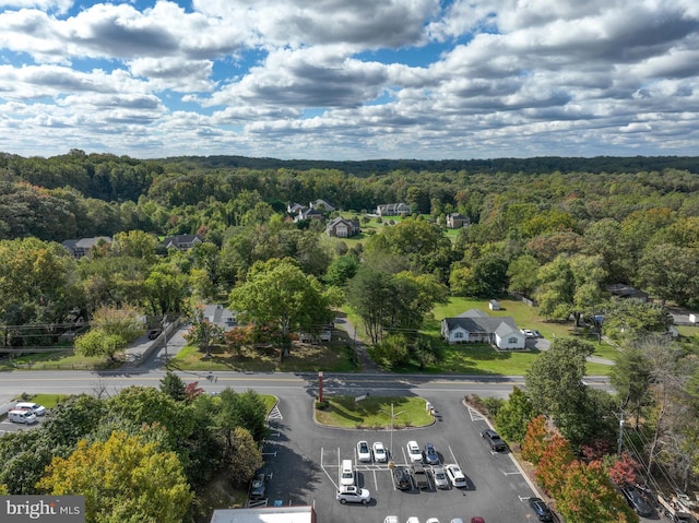 bird's eye view