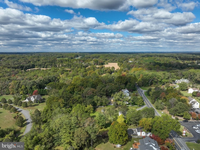 bird's eye view