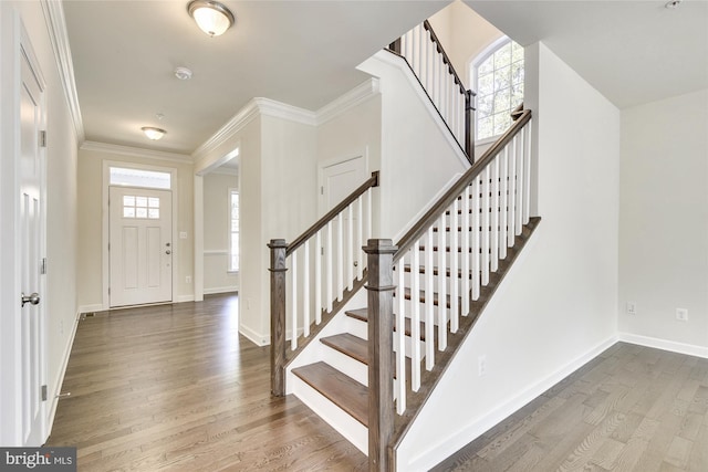 entrance foyer featuring ornamental molding, dark hardwood / wood-style floors, and a wealth of natural light