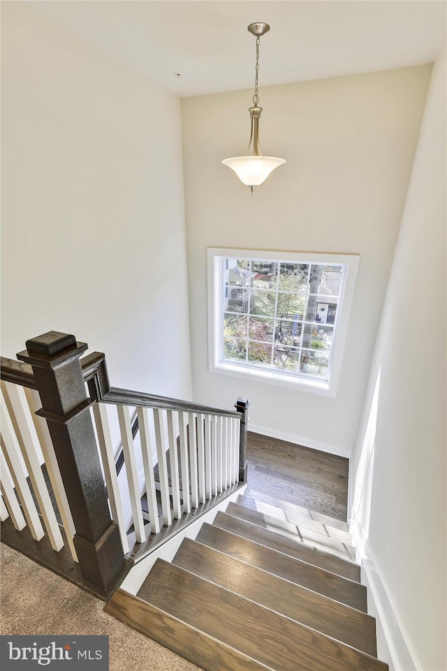 stairway featuring hardwood / wood-style flooring