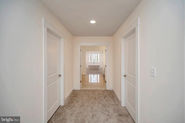 corridor featuring light colored carpet