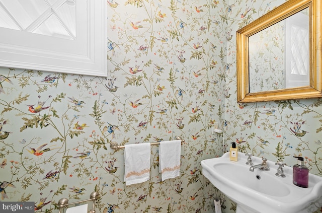 bathroom featuring sink