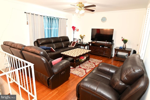 living room featuring wood finished floors, a ceiling fan, and ornamental molding