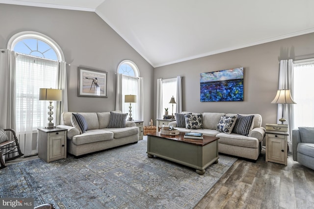 living room featuring crown molding, dark wood-type flooring, and high vaulted ceiling