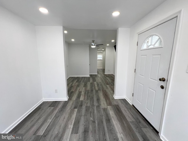 entryway featuring ceiling fan and dark hardwood / wood-style flooring