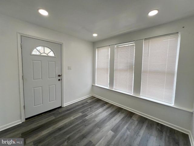 foyer featuring dark wood-type flooring