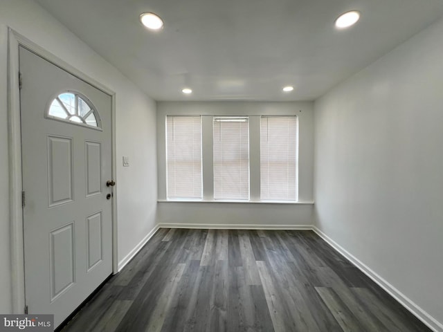 entrance foyer with dark hardwood / wood-style floors