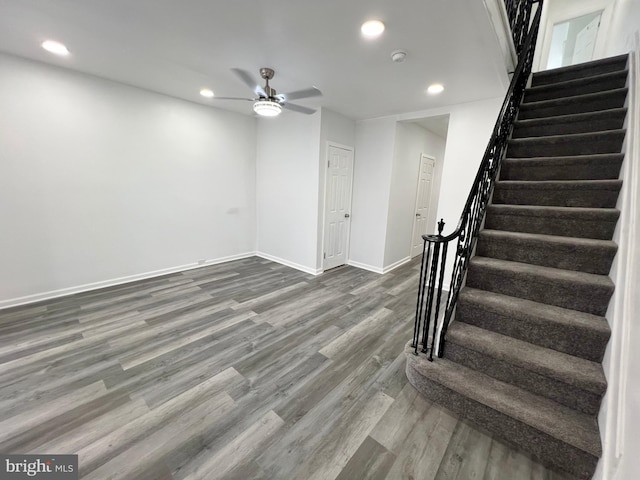 basement featuring ceiling fan and dark hardwood / wood-style flooring