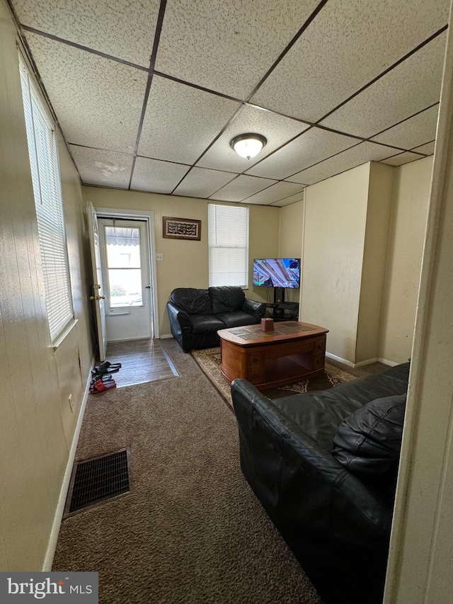 bedroom featuring a drop ceiling and carpet flooring