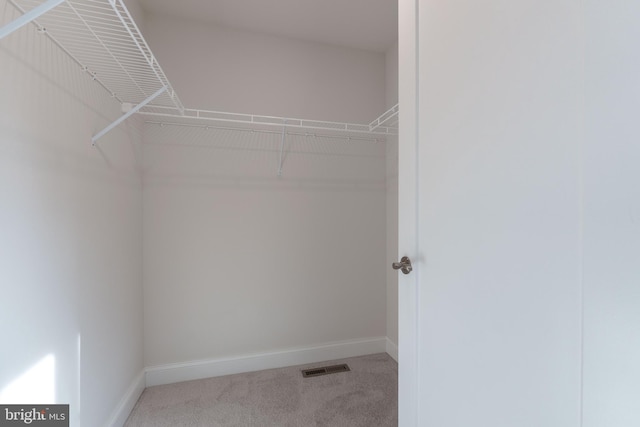 spacious closet with carpet