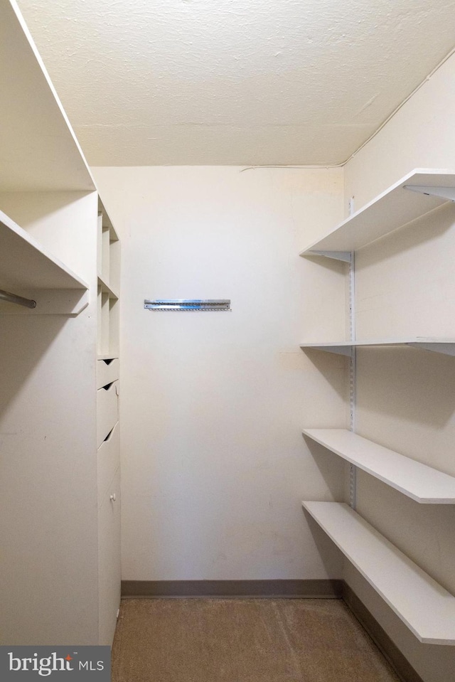 walk in closet featuring carpet flooring