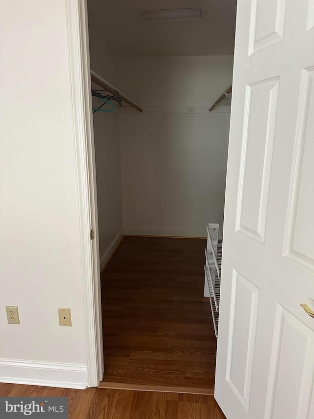 spacious closet featuring wood-type flooring