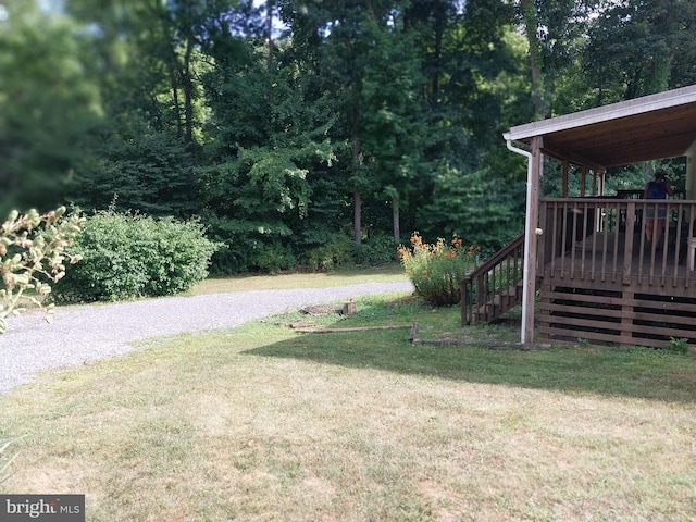 view of yard featuring a deck