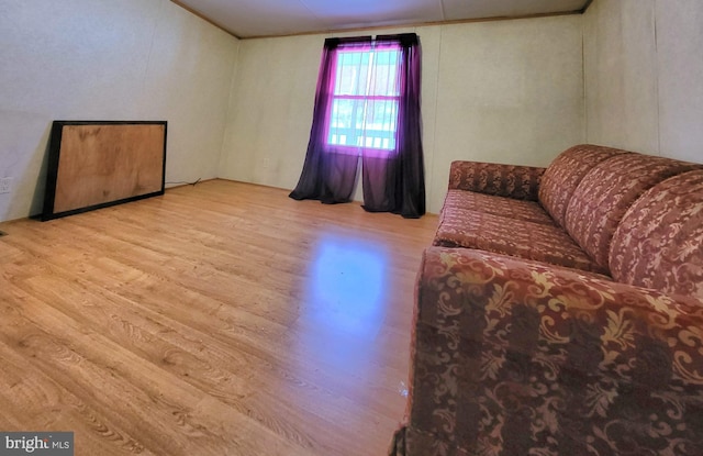 living room with light wood-type flooring