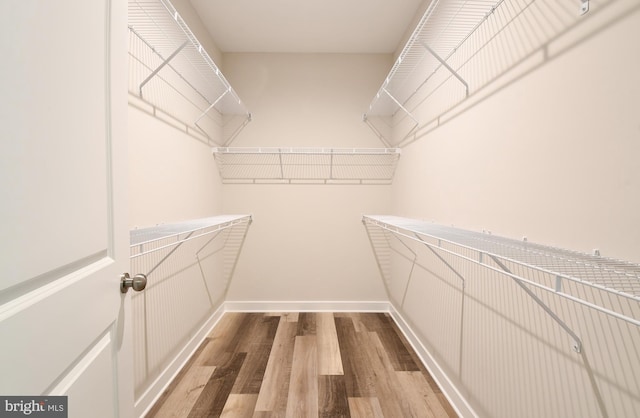 walk in closet featuring light hardwood / wood-style flooring