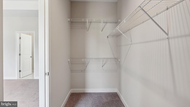 walk in closet with light colored carpet