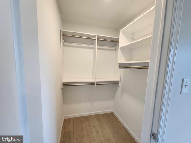 walk in closet with hardwood / wood-style flooring