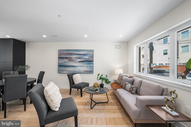 living room featuring light hardwood / wood-style floors