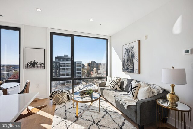 living room with floor to ceiling windows and wood-type flooring