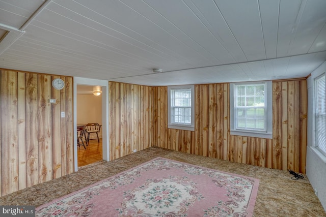 empty room with carpet floors and wooden walls