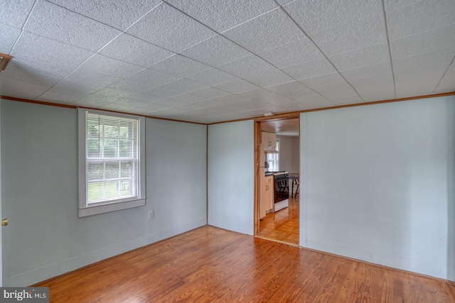 unfurnished room with light hardwood / wood-style floors