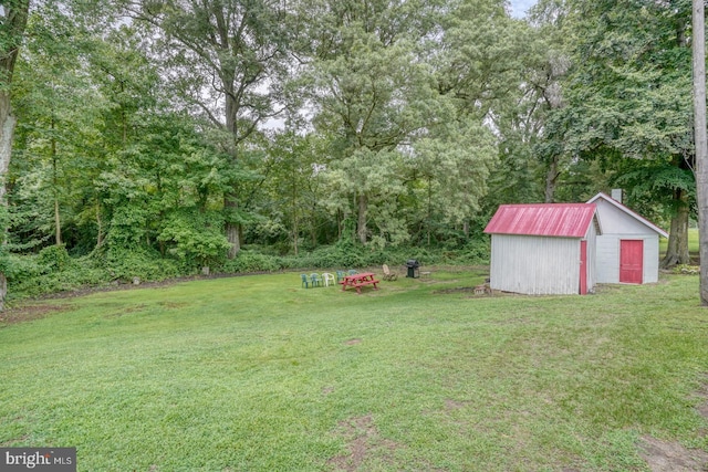 view of yard with a storage unit