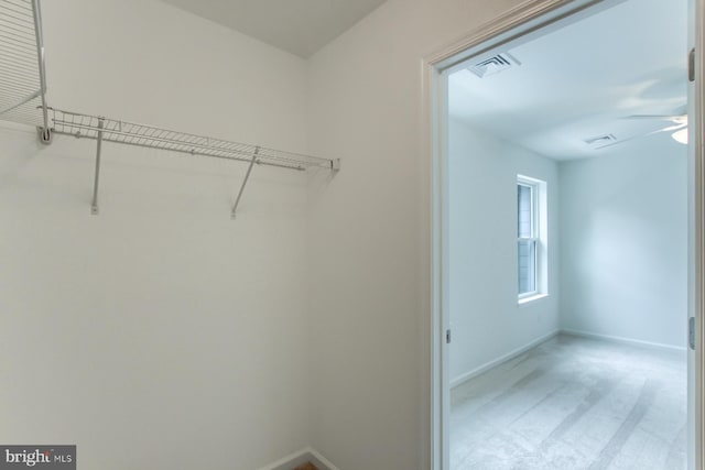 spacious closet featuring carpet