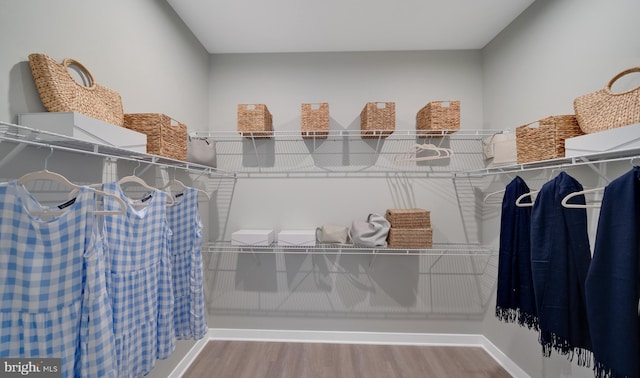 walk in closet with hardwood / wood-style floors