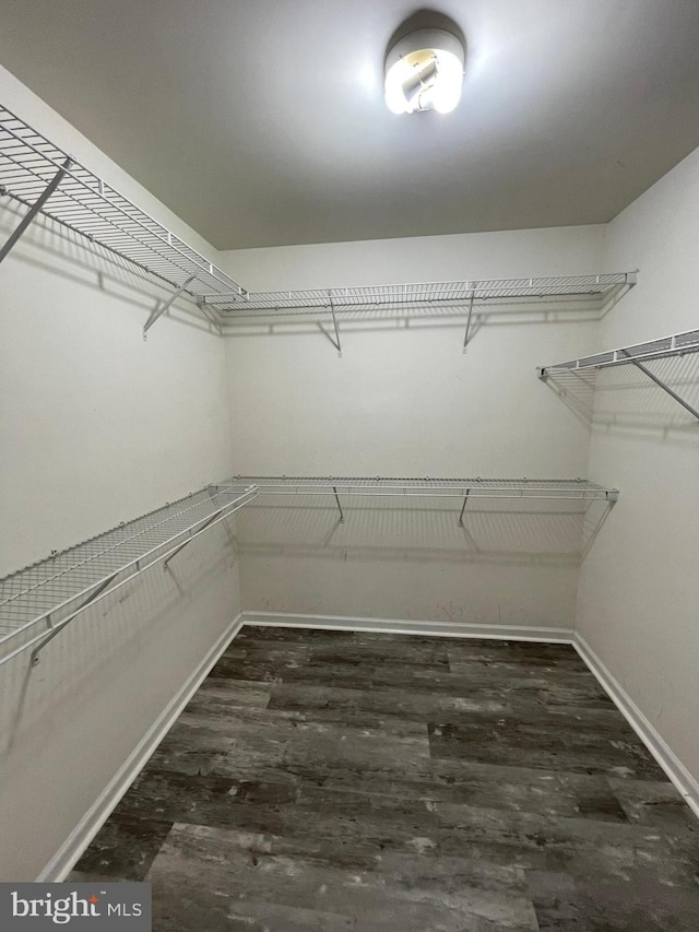 walk in closet with wood-type flooring