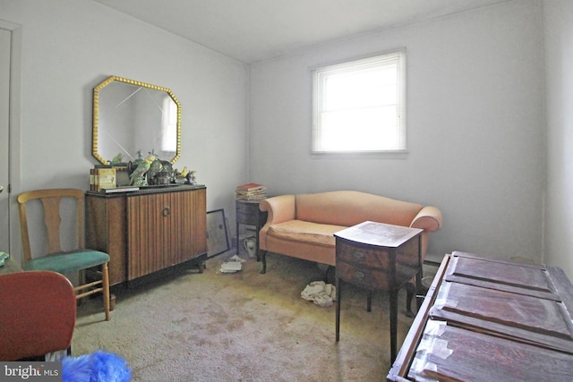 sitting room with light colored carpet