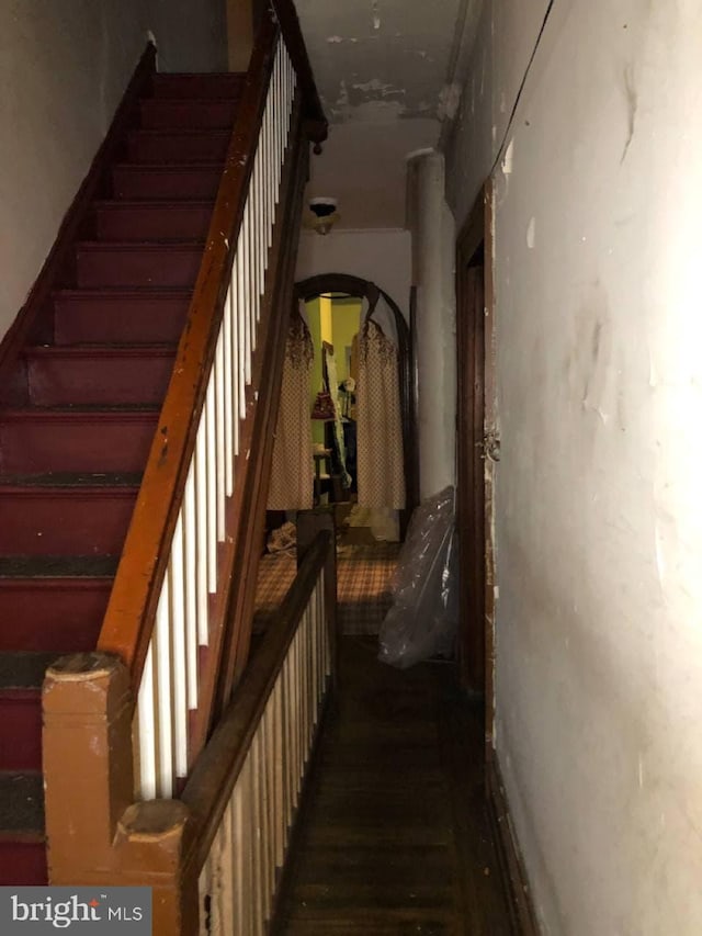 stairway featuring hardwood / wood-style floors