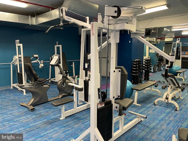 exercise room featuring carpet flooring