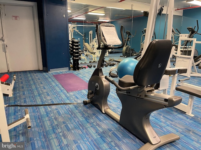 workout area with carpet flooring