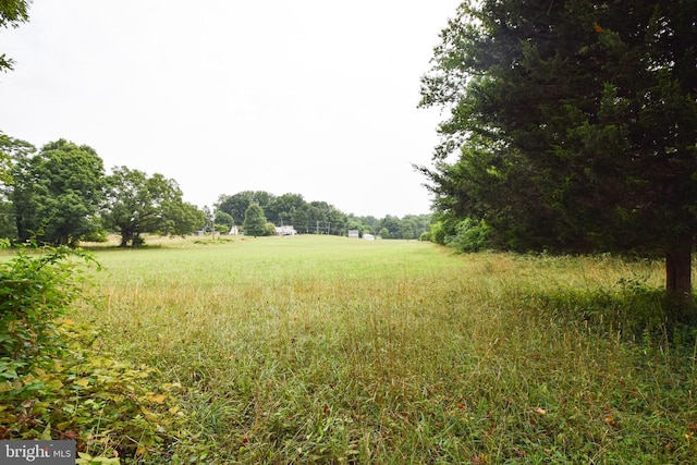 view of yard with a rural view