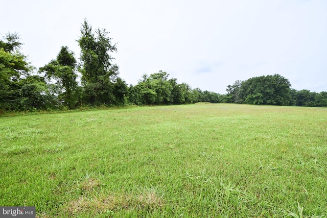 view of yard featuring a rural view