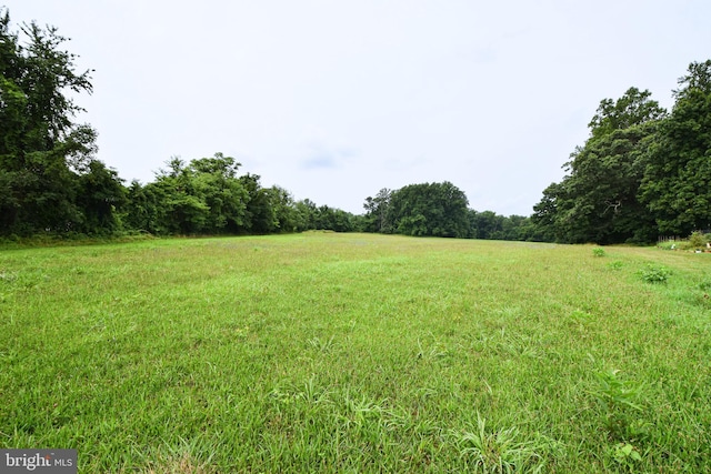 view of yard with a rural view