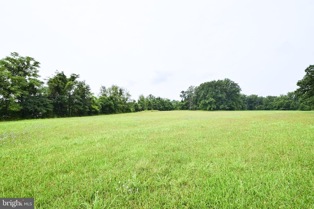 view of yard featuring a rural view