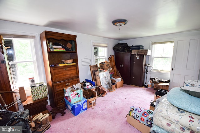 carpeted bedroom featuring multiple windows