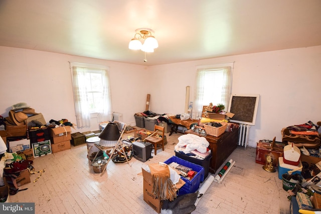 misc room featuring a healthy amount of sunlight and hardwood / wood-style floors