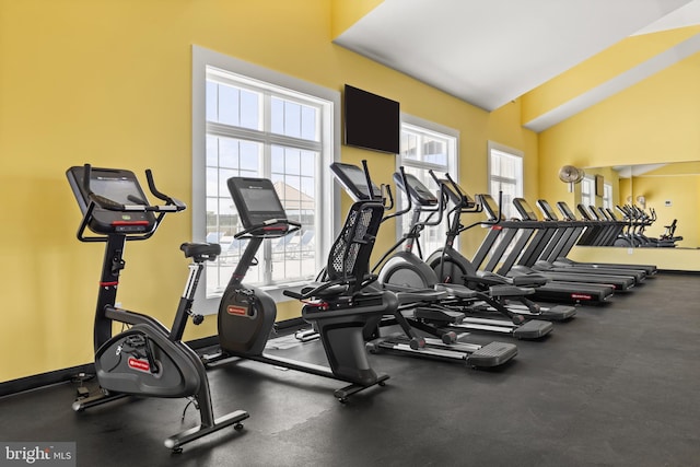 workout area featuring a wealth of natural light