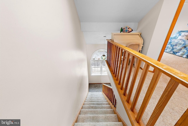 stairs featuring carpet floors