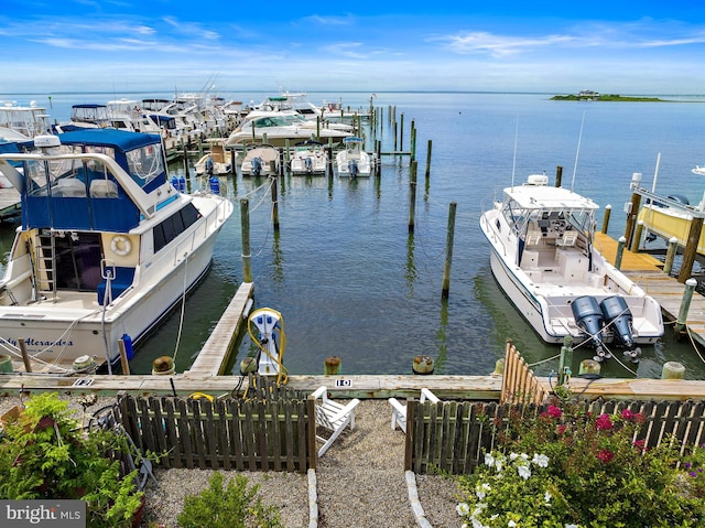 dock area with a water view