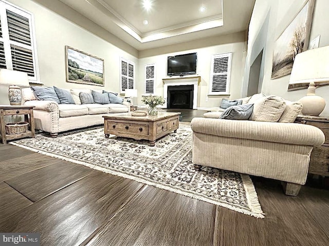 living room with dark hardwood / wood-style flooring, ornamental molding, and a raised ceiling