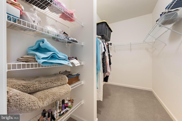 walk in closet with carpet