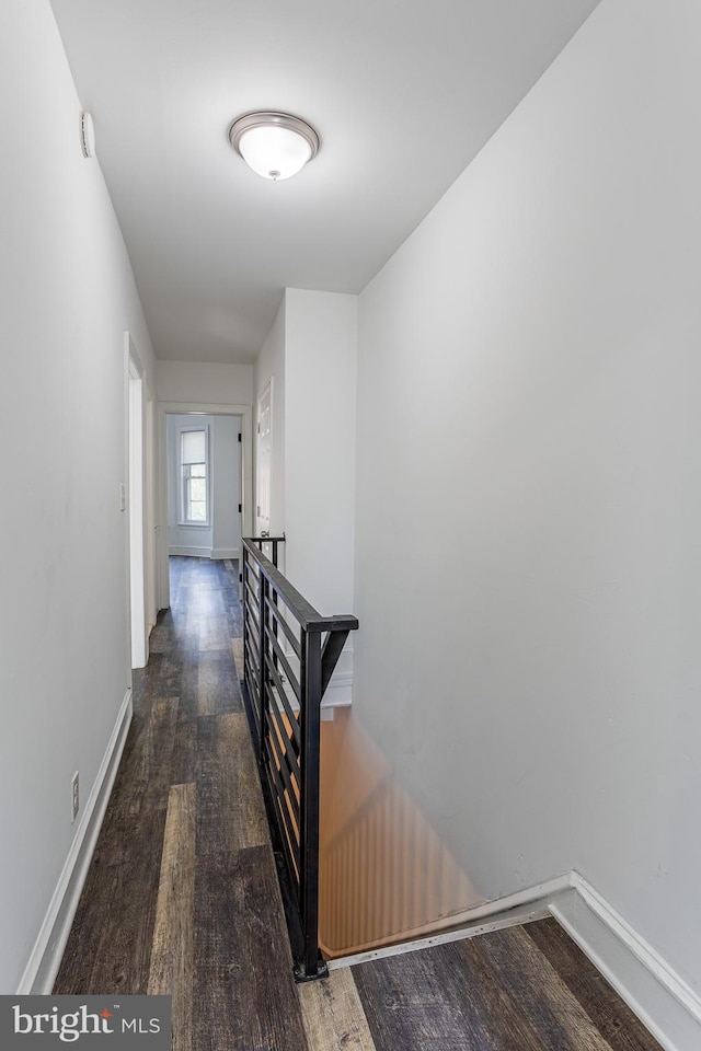 corridor featuring dark hardwood / wood-style flooring