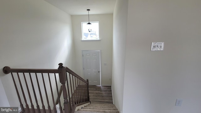 stairs featuring dark hardwood / wood-style floors