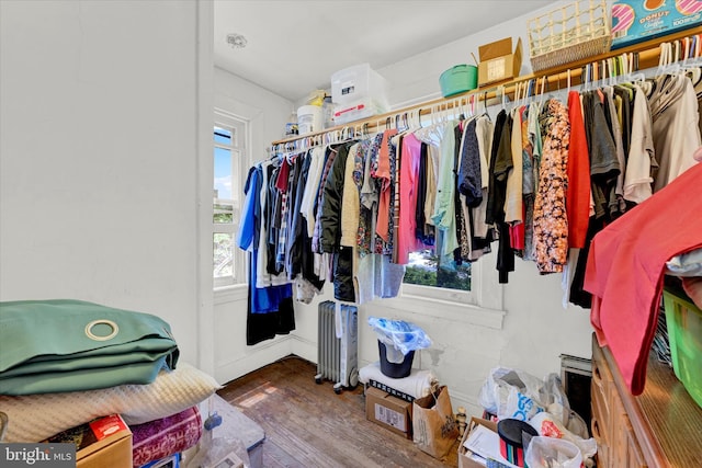 walk in closet featuring hardwood / wood-style flooring and radiator