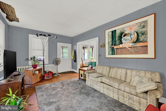 living room with radiator and hardwood / wood-style floors